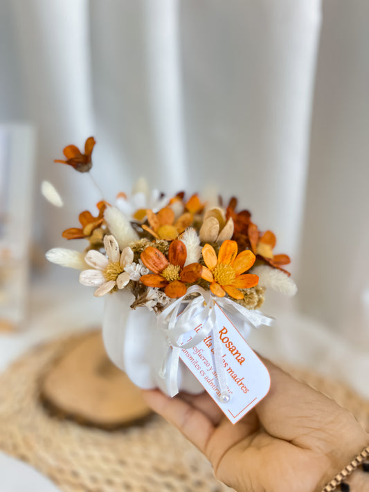 Petita llenito de amor