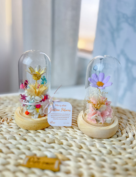 Cápsulas chic con flores naturales preservadas